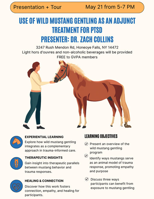 Wild Mustang Flyer